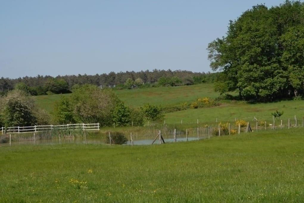 Gite Nature La Carillonnerie Villa Bossay-sur-Claise Exterior photo